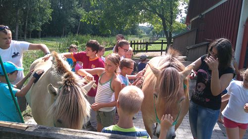 Lolka - Bolka Szabadids Sporttbor