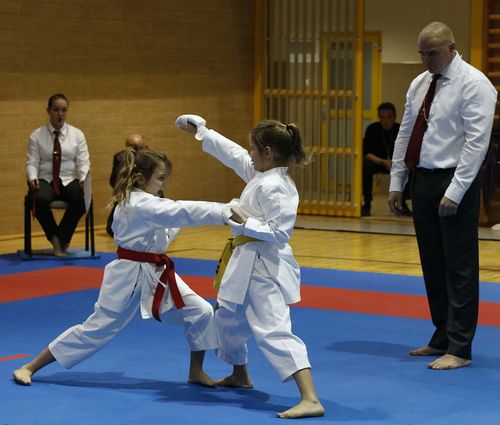 IPPON SHOBU Magyar Bajnoksg - Paks