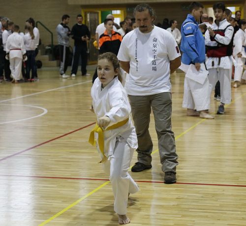 IPPON SHOBU Magyar Bajnoksg - Paks