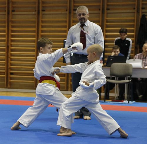 IPPON SHOBU Magyar Bajnoksg - Paks