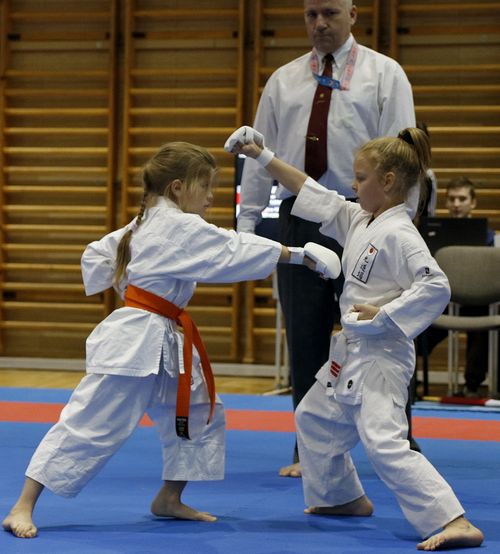 IPPON SHOBU Magyar Bajnoksg - Paks