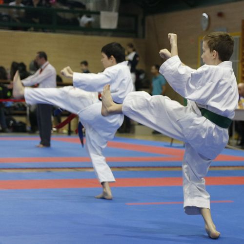 IPPON SHOBU Magyar Bajnoksg - Paks