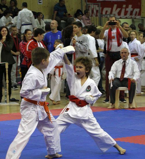 Hrom rem