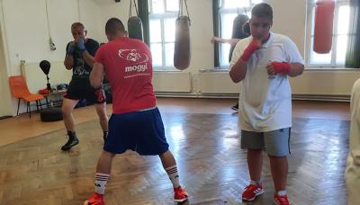 boxterem1.jpg