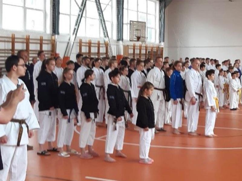 I._Antal_J_nos_Ippon_Shobu_2.jpg
